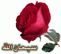 الصورة الرمزية asma wael