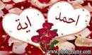 الصورة الرمزية تونا احمد 22